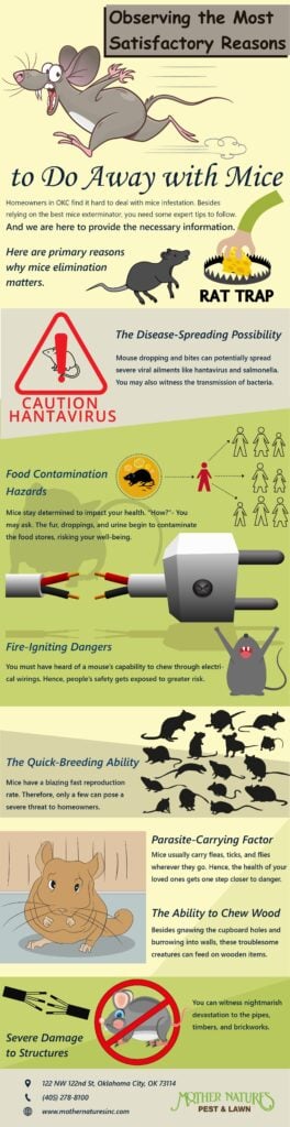 how to get rid of mice