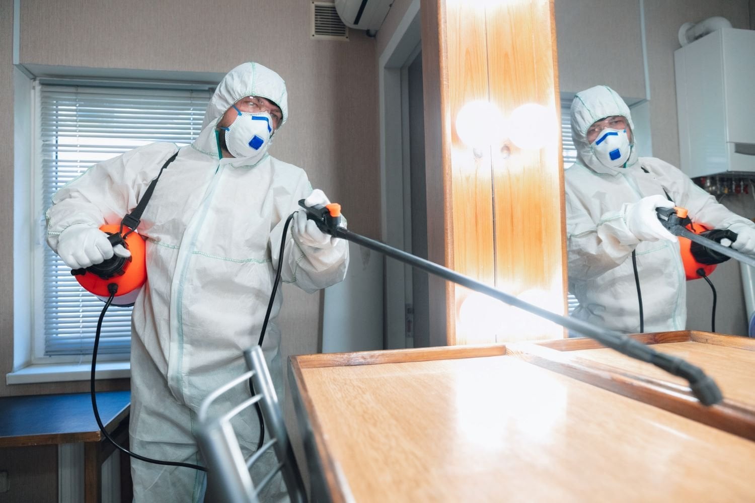 Pest Control Insulation: The Detail You Can't Miss - Mother Nature's Pest  Control